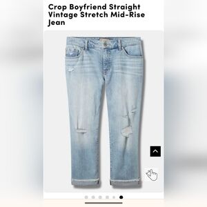 Torrid Crop Boyfriend Jeans Straight Vintage Stretch Mid-Rise  Plus size 24 New